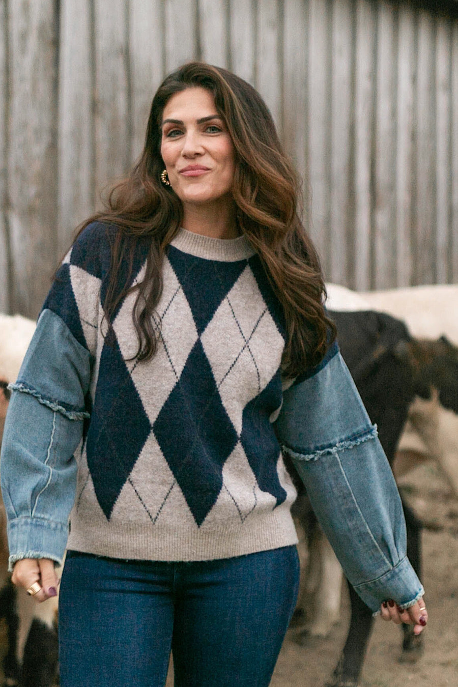 Tumbleweed Argyle Denim Sleeve Sweater