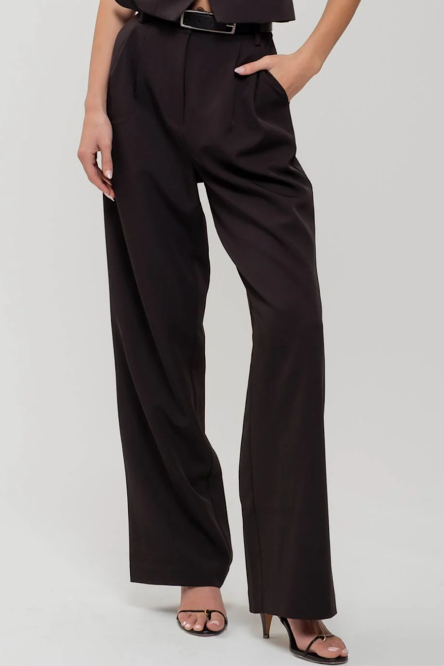 Blizten Pleated Wide Leg Dress Pants