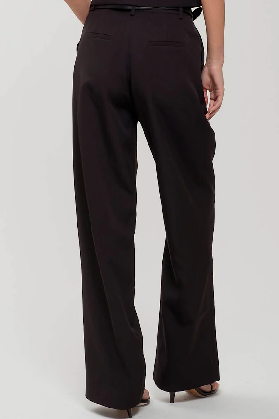 Blizten Pleated Wide Leg Dress Pants