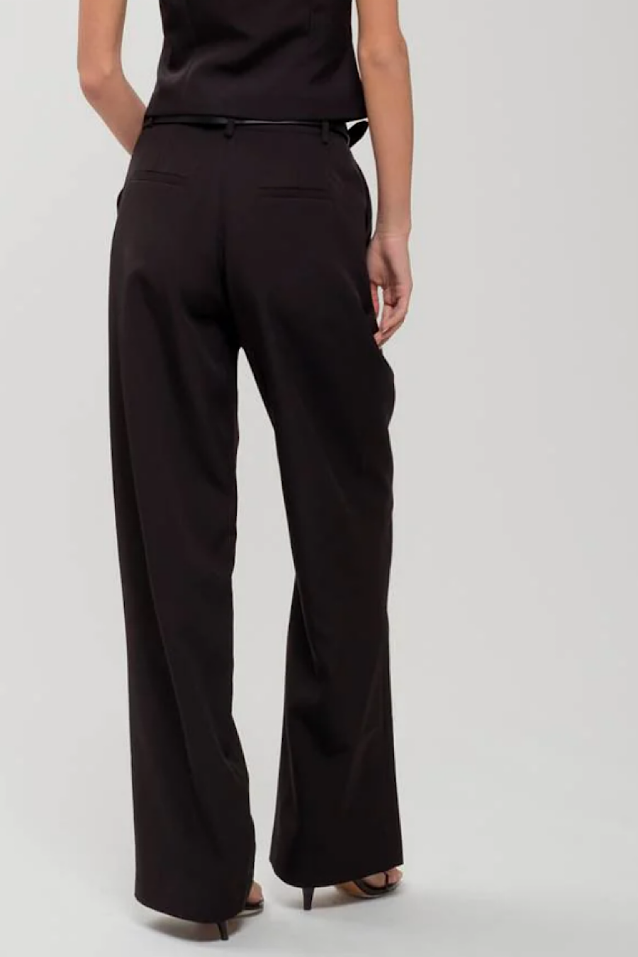 Blizten Pleated Wide Leg Dress Pants