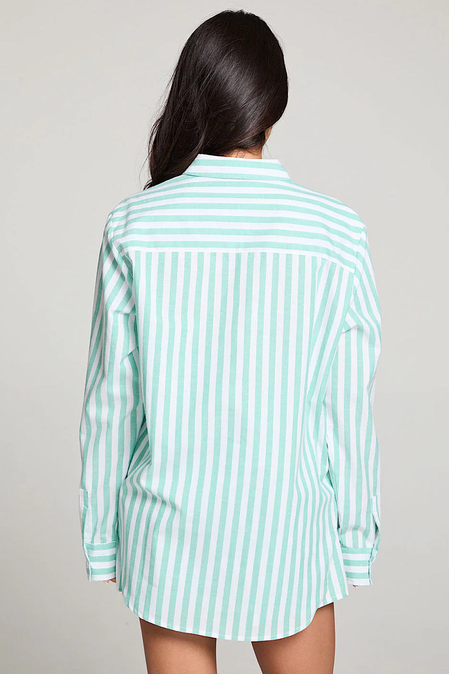 Chaser Brand Paso Aloe Stripe Shirt