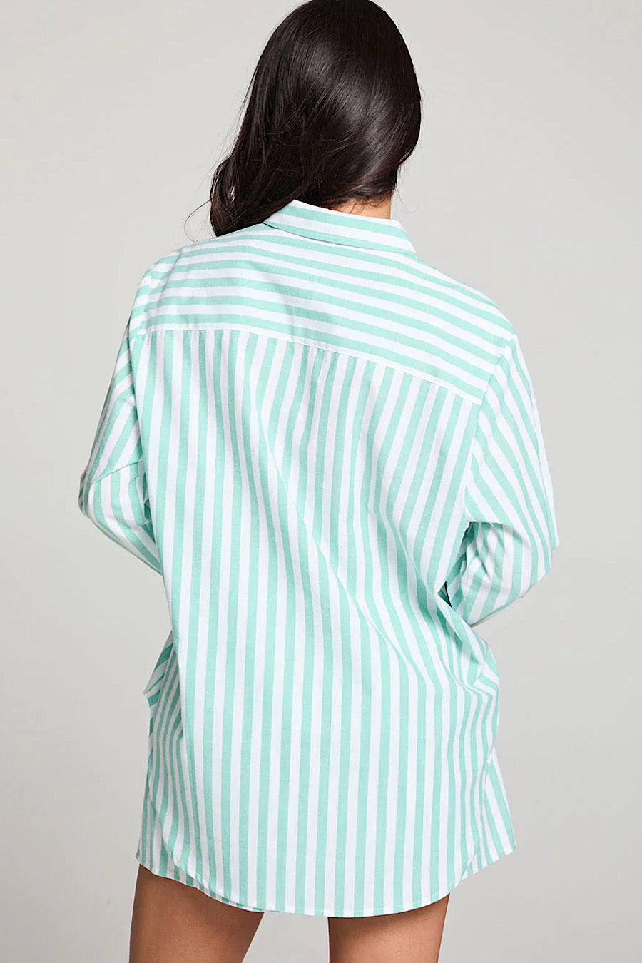 Chaser Brand Paso Aloe Stripe Shirt