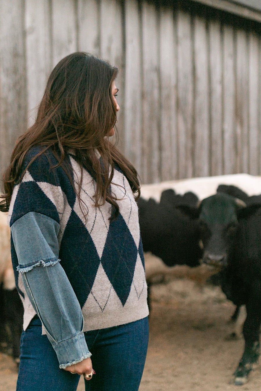 Tumbleweed Argyle Denim Sleeve Sweater