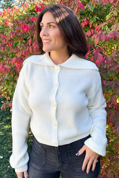 In the Spirit Knit Collared Sweater Cardigan
