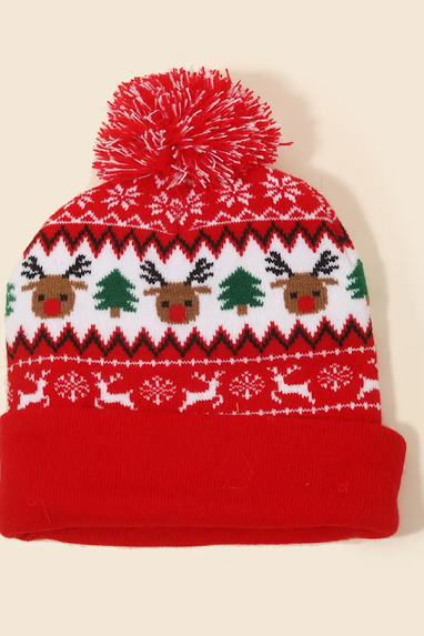 Red, Green Christmas Reindeer Hat