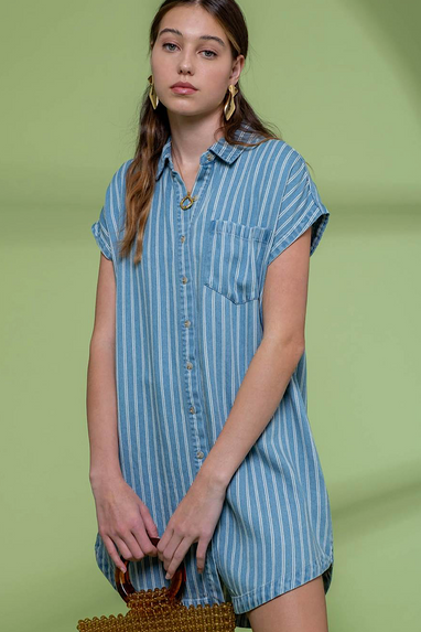 Shelby Striped Shirt Dress in Denim