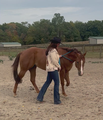 Free Rein Horse Jacquard Shawl Cardigan Sweater