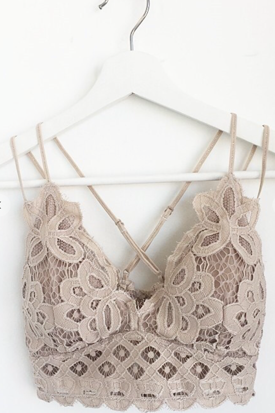 Plus Size Lace Bralette in Black, Sandstone, Light Taupe or Nude